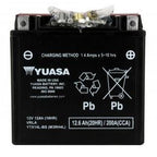 Batterie YUASA type YTX14L-BS AGM (avec acide)