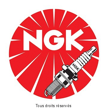 Bougie NGK type ER8EH-N