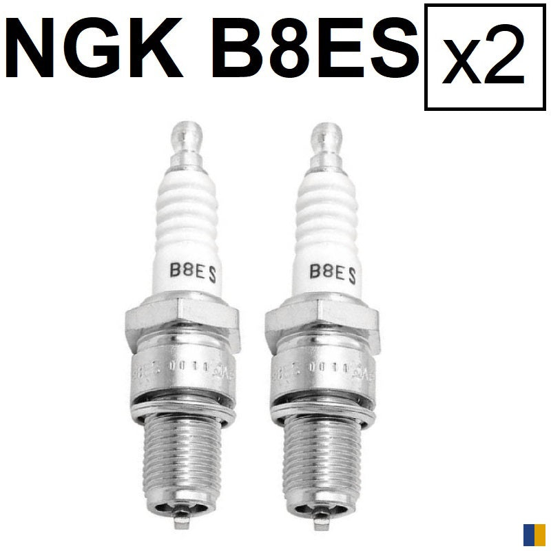 2 bougies NGK type B8ES