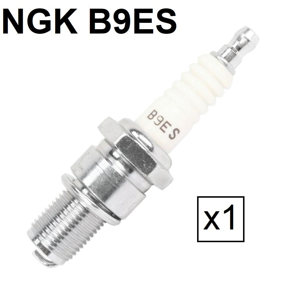 1 bougie NGK type B9ES