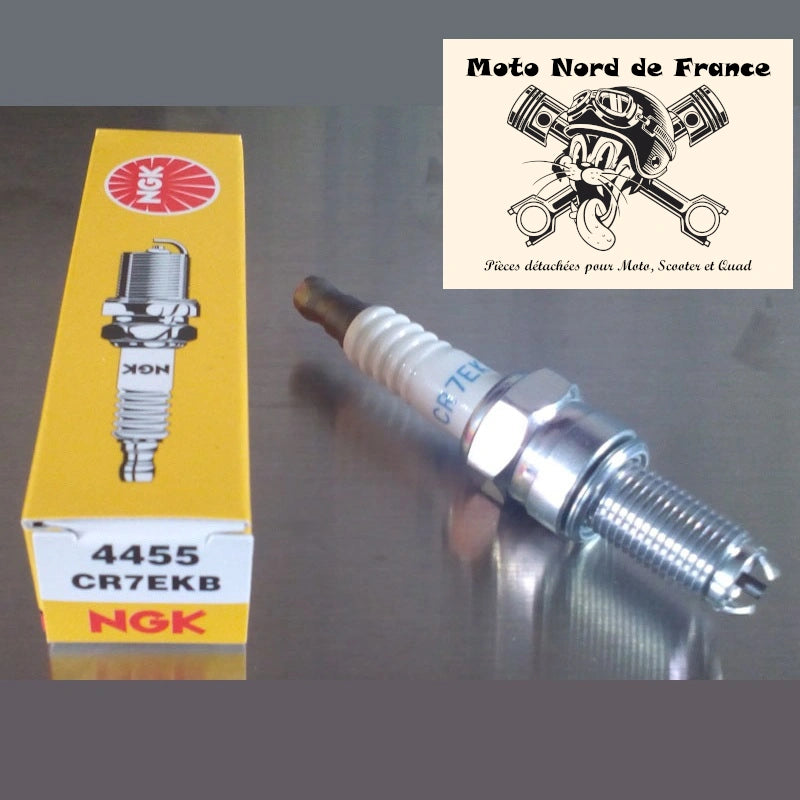 Bougie d'allumage NGK type CR7EKB