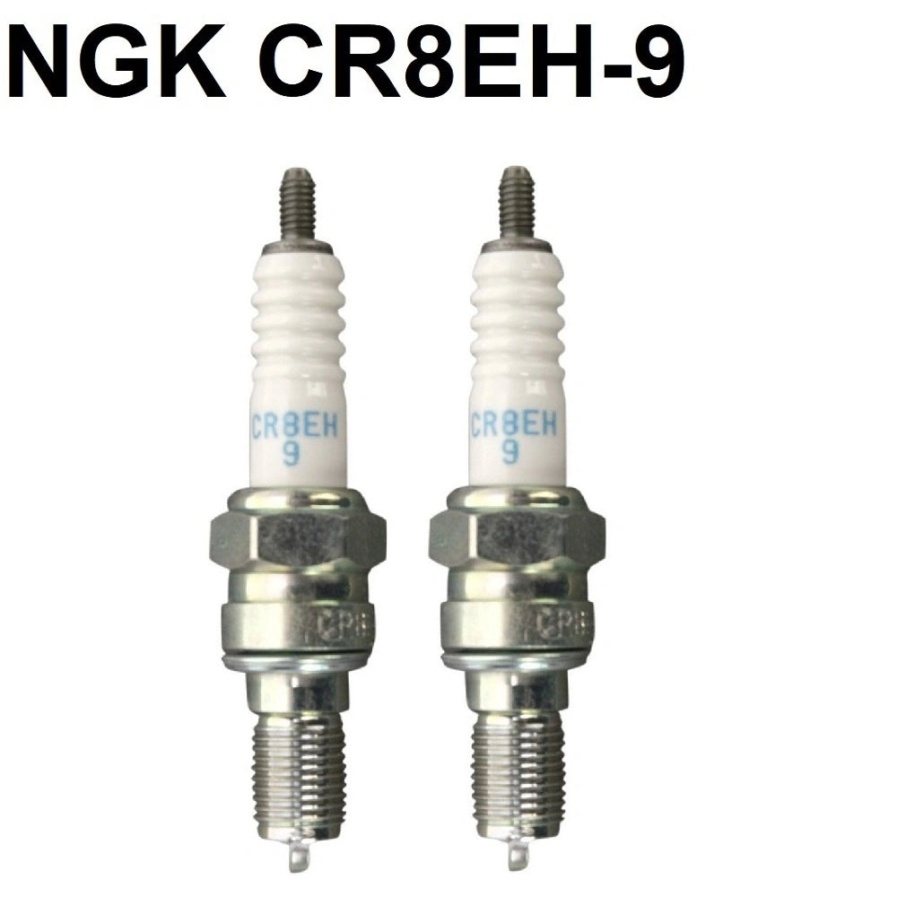 Jeu de 2 bougies NGK type CR8EH-9