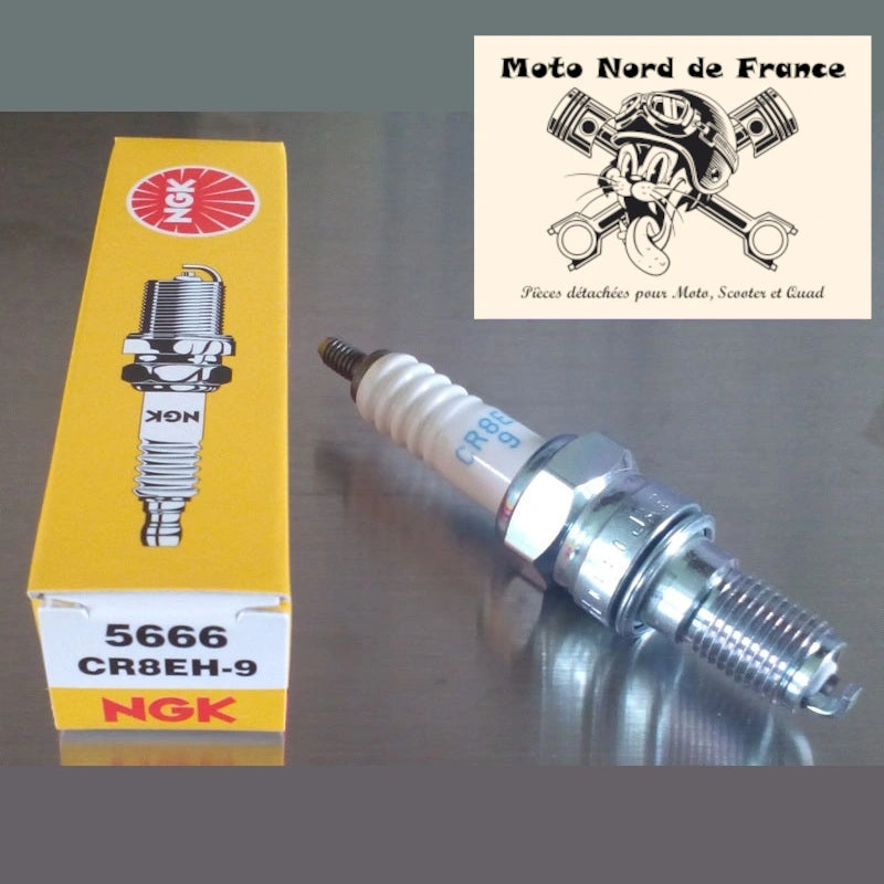 Bougie d'allumage NGK type CR8EH-9